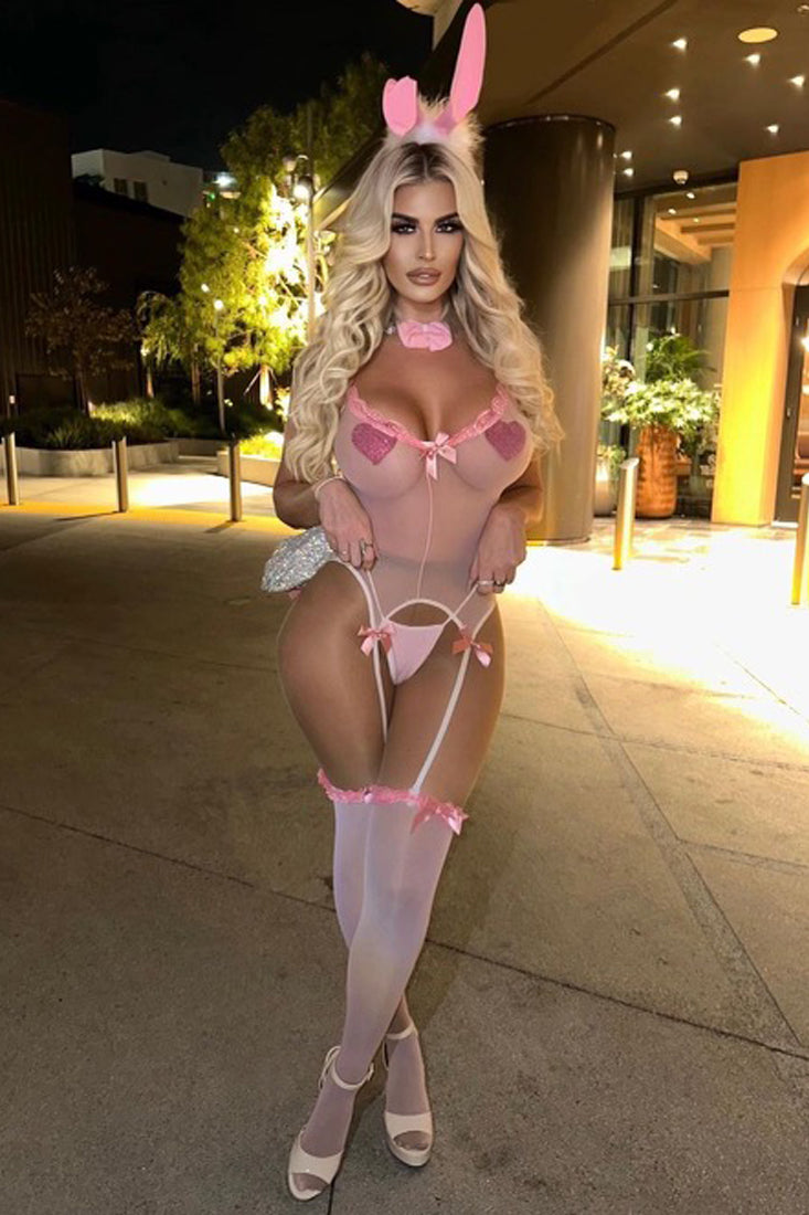 Pink Sexy Bunny Mesh Bow Sleeveless Garter Lingerie 6 Pc Costume AMIClubwear Pink Sexy Bunny Mesh Bow Sleeveless Garter Lingerie 6 Pc Costume AMIClubwear