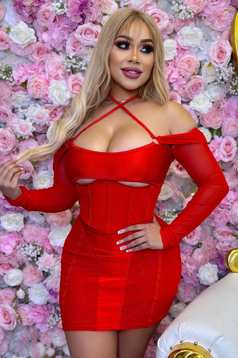 Red Boned Corset Contour Mesh Cut-Out Long Sleeves Sexy Dress - AMIClubwear