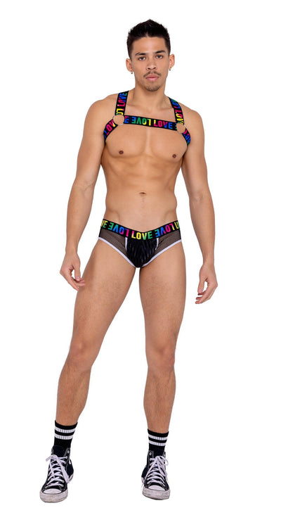 6154 - Mens Briefs with Fishnet Panel - AMIClubwear