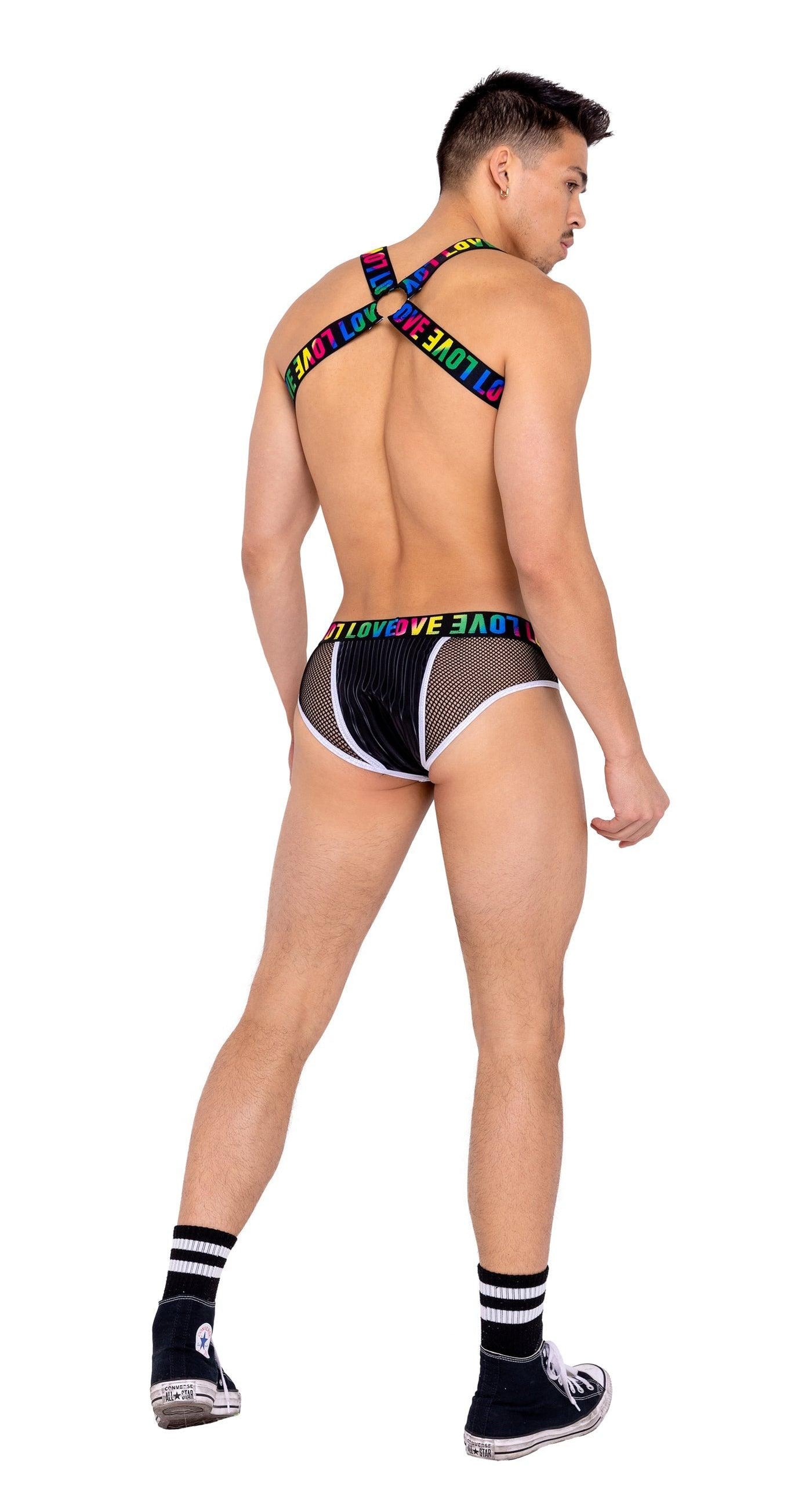 6154 - Mens Briefs with Fishnet Panel - AMIClubwear