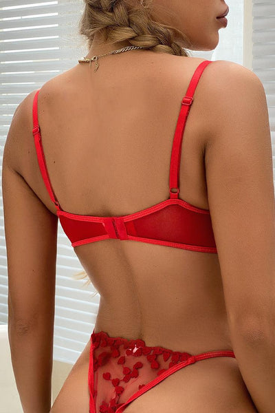 Sexy Red Heart Embroidered Mesh 2 Pc Lingerie Set - AMIClubwear