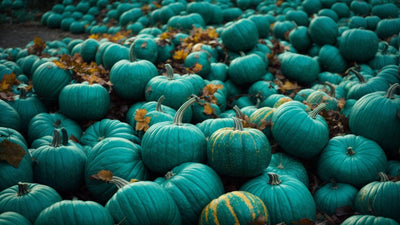 What Does the Teal Pumpkin on Halloween Stand For?