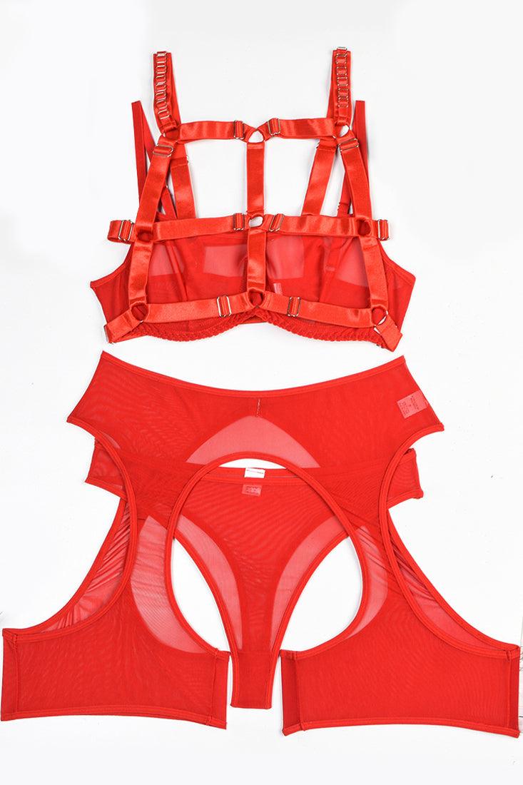 Red Sheer Mesh High Waisted Garter Cut Open Shorts 4Pc Lingerie Set - AMIClubwear
