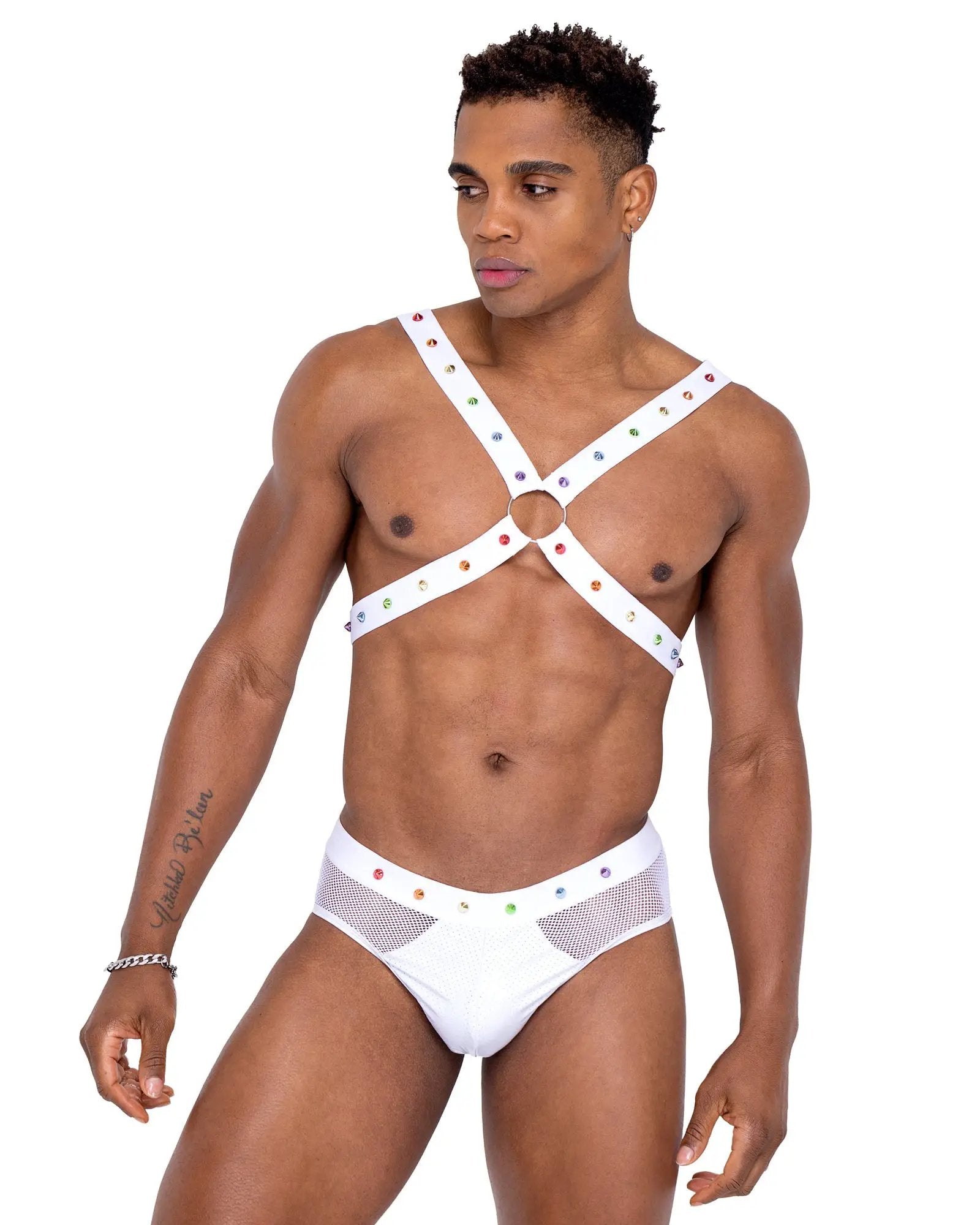 6337 - Men’s Pride Harness