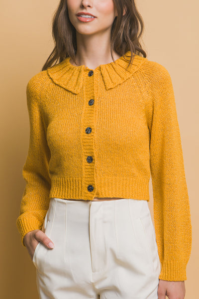 Short collard sweater