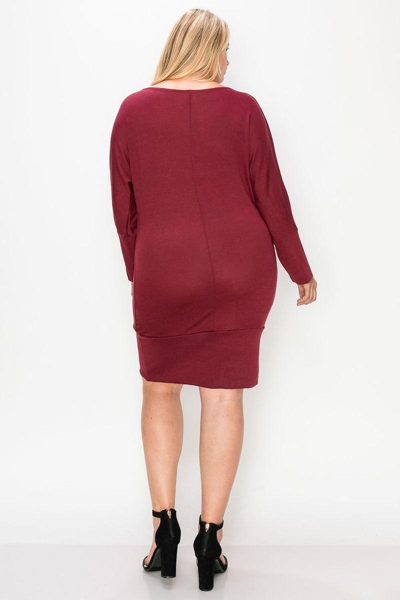 Draped Neck Long Sleeve Dress - AMIClubwear