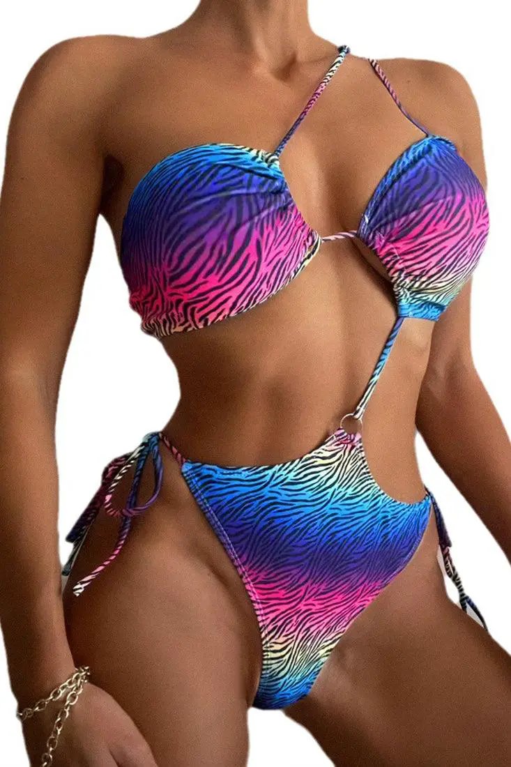 Rainbow Multi Zebra Print Strappy O-Ring One Shoulder 1Pc Swimsuit Monokini