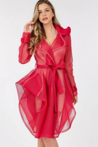 Side Tacking Waist Tie Mesh Coat - AMIClubwear