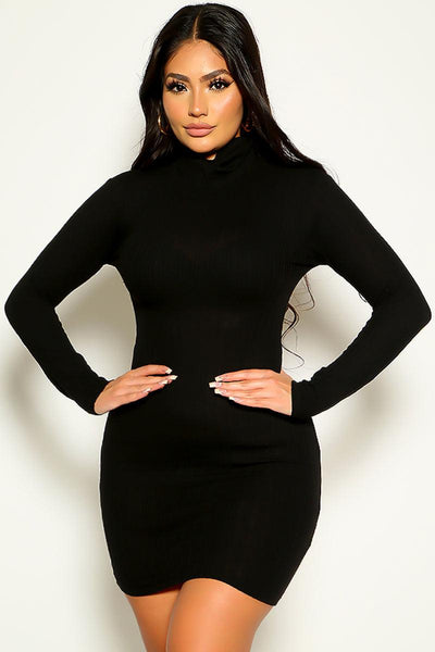 Black Long Sleeve Sexy Turtleneck Dress - AMIClubwear