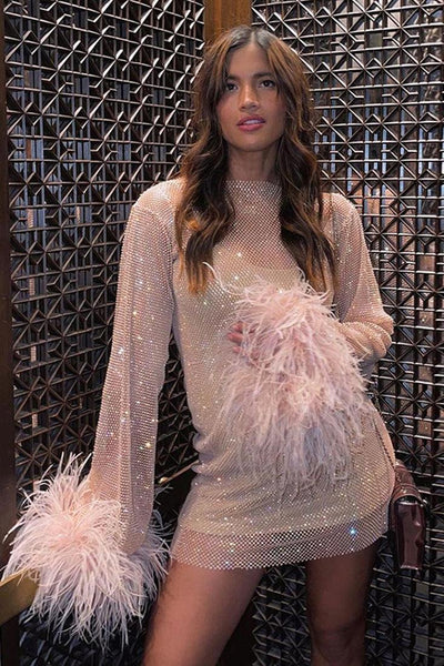 Pink Faux Feather See Through Mesh Party Dress - AMIClubwear