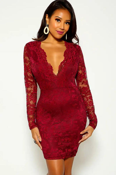 Plum Long Sleeve Lace Embroidered Party Dress - AMIClubwear