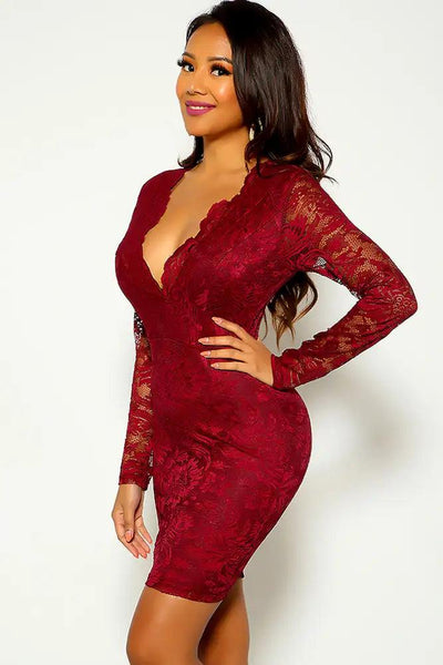 Plum Long Sleeve Lace Embroidered Party Dress - AMIClubwear