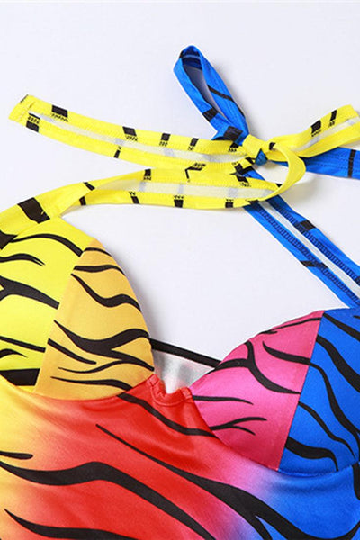 Sexy Rainbow Zebra Mini Dress - AMIClubwear